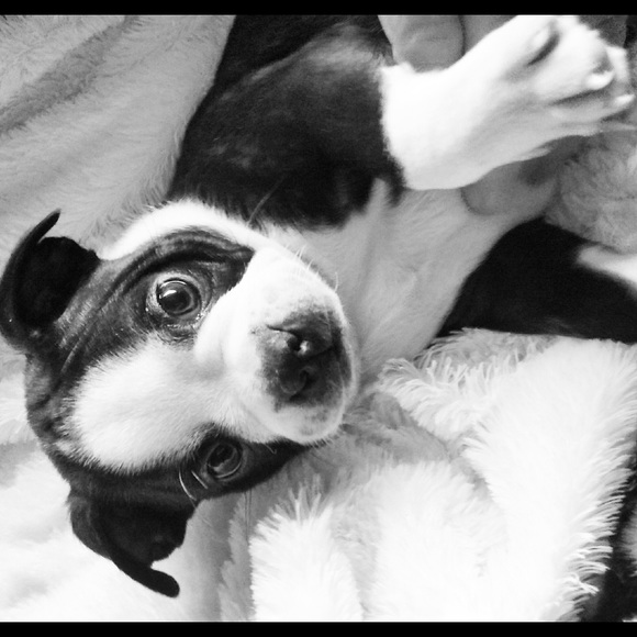 Meet your Posher, Jeannette - Picture 1 of 1